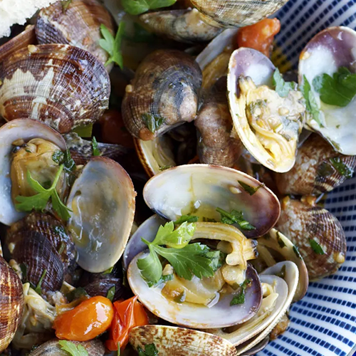 Sauté de palourdes au vin blanc